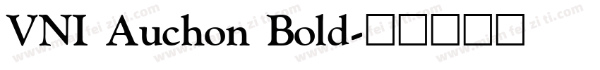 VNI Auchon Bold字体转换